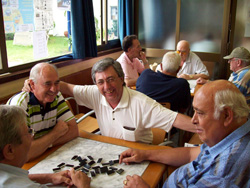 Domin&oacute;