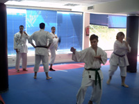 Karate