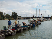 Pesca