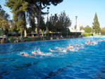 Natación