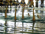 Nataci&oacute;n sincronizada