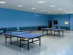 Tenis de mesa